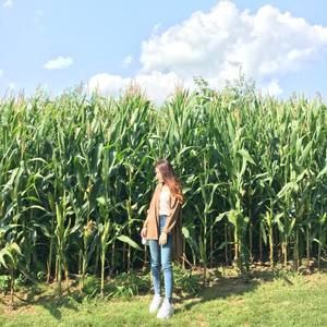 Meet your Posher, Jin